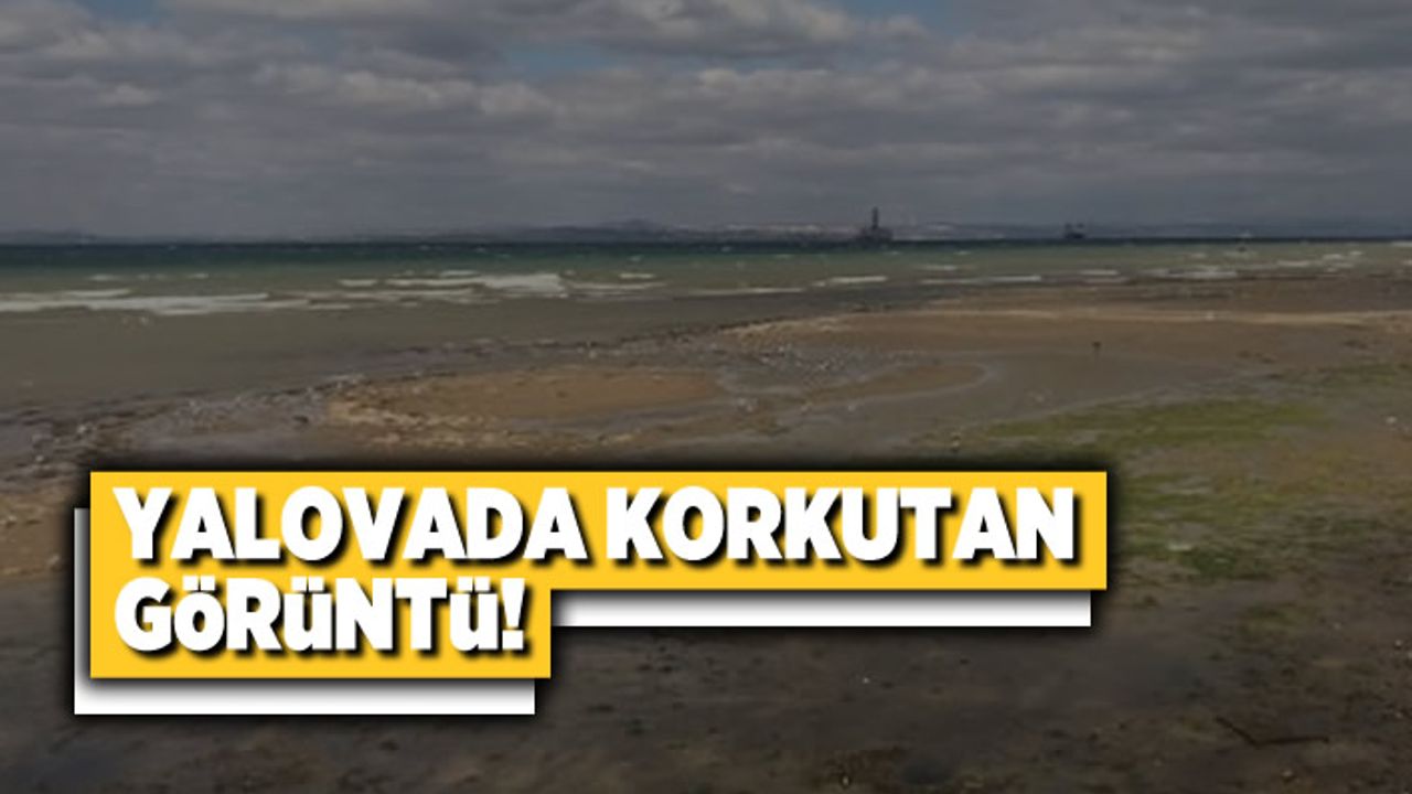 Yalova'da korkutan görüntü!