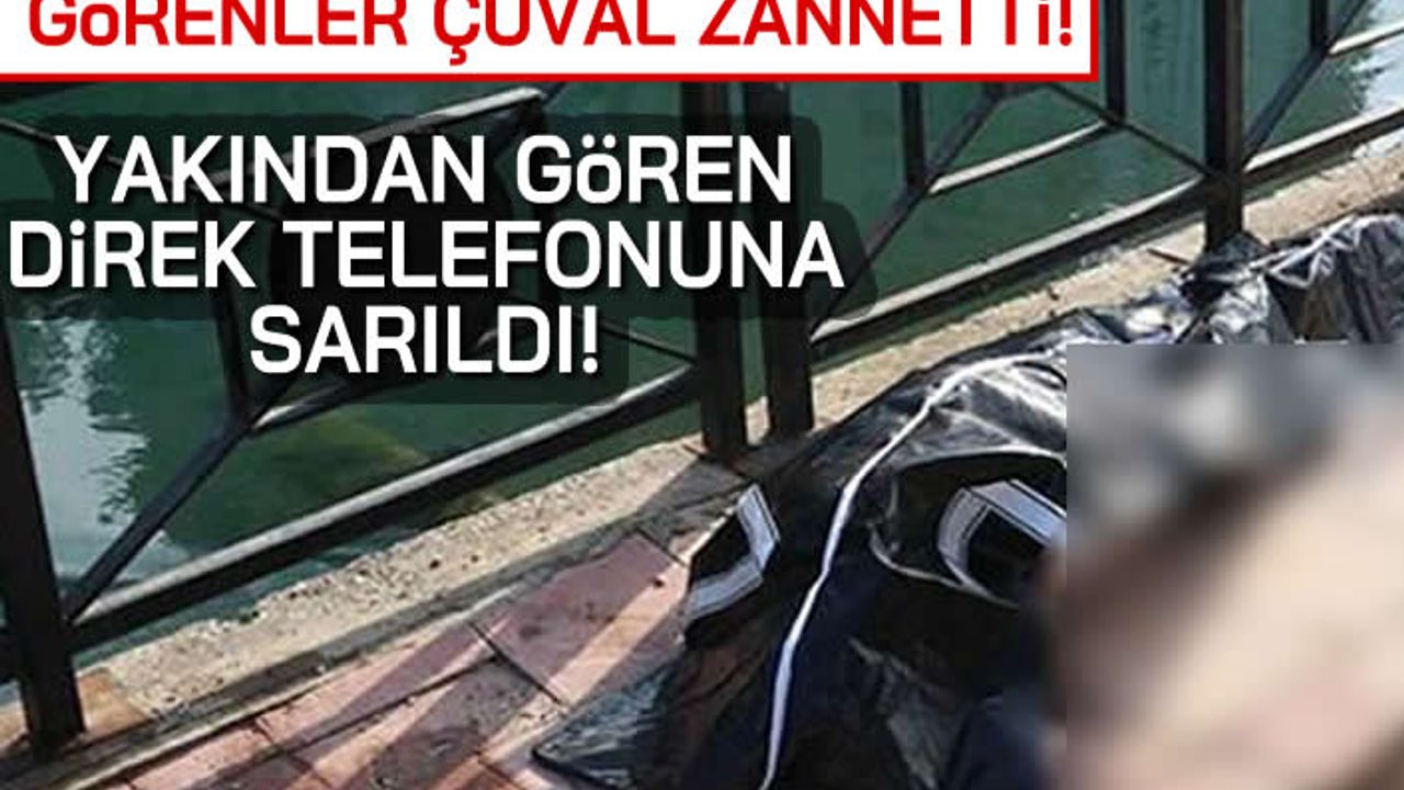 Görenler çuval zannetti! Yakından gören direk telefonuna sarıldı!