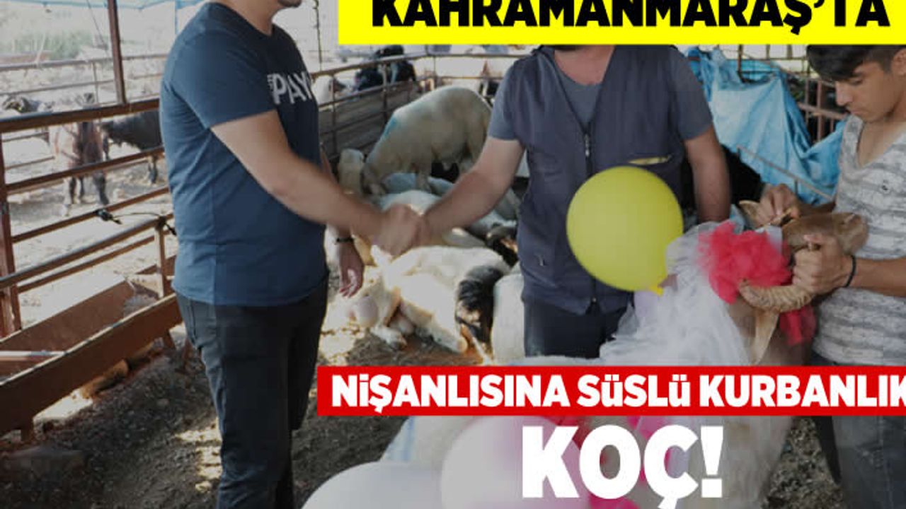 Kahramanmaraş'ta nişanlısına süslü kurbanlık koç!