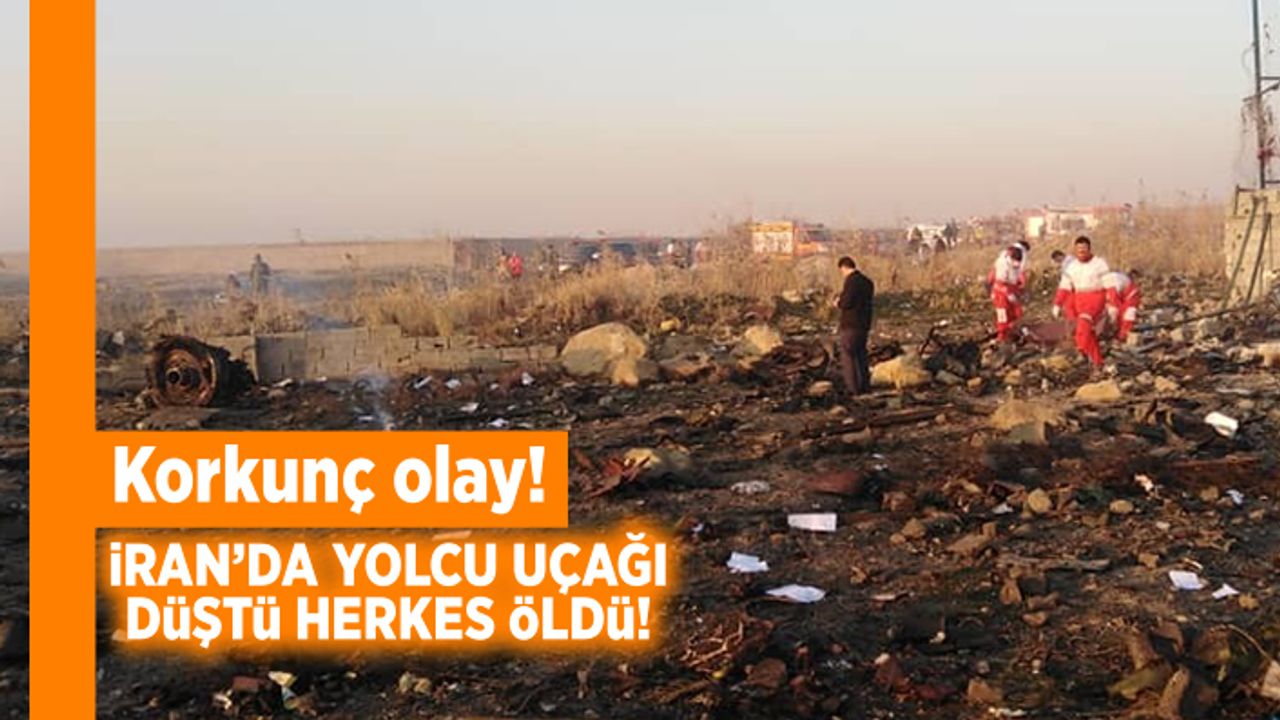 Korkunç olay! İran'da uçak düştü herkes öldü!