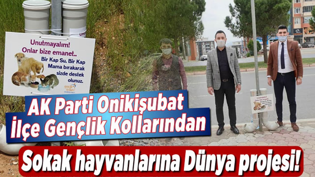 AK Parti Onikişubat Gençlik Kollarından sokak hayvanlarına Dünya projesi!