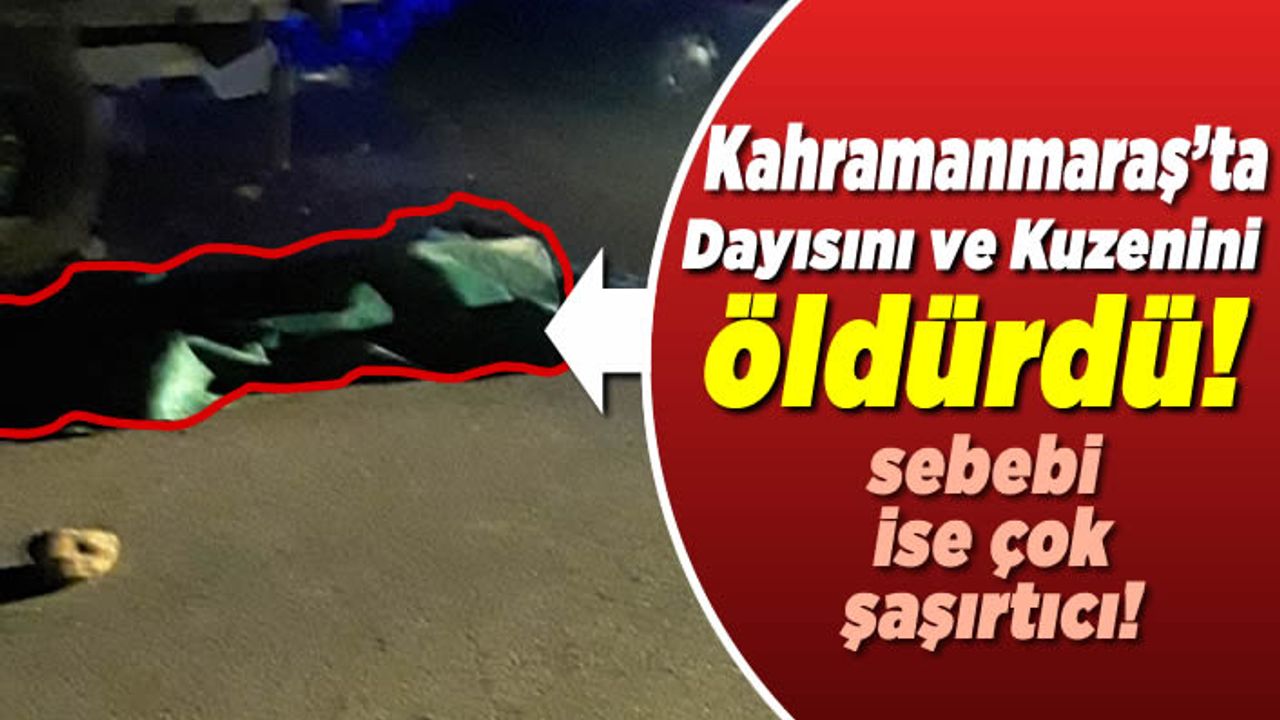 Kahramanmaraş'ta çoban köpeği yüzünden dayısını ve kuzenini öldürdü!