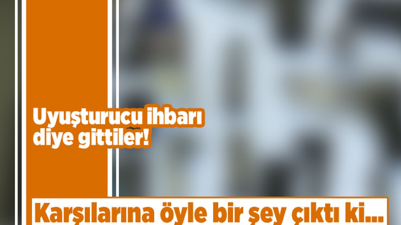 Uyuşturucu ihbarı diye gittiler! Karşılarına öyle bir şey çıktı ki...