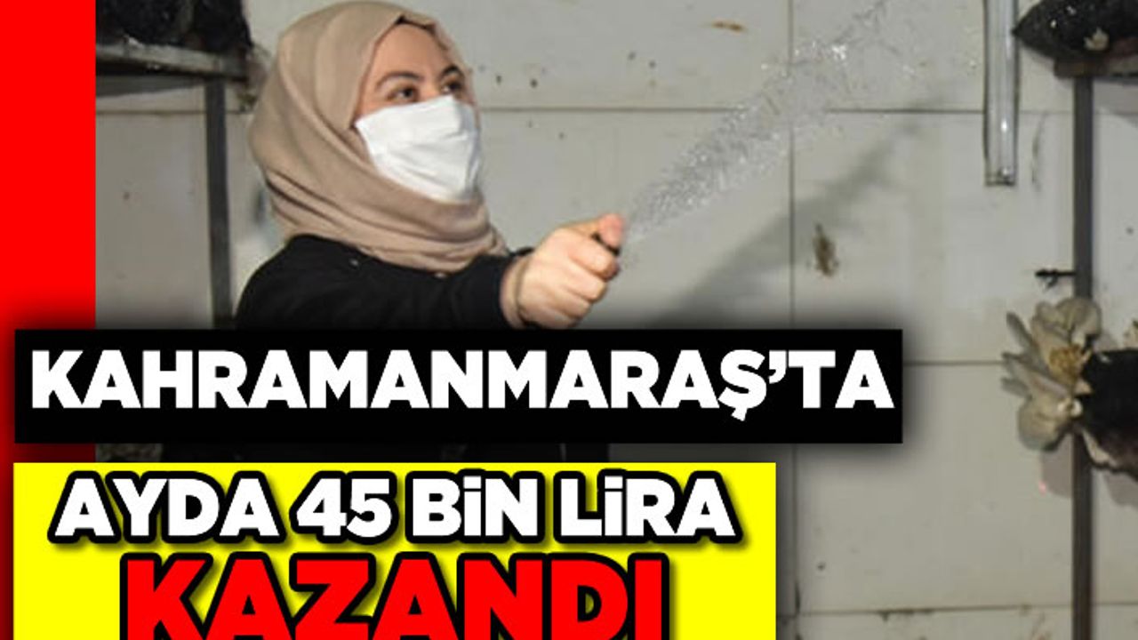 Kahramanmaraş'ta ayda 45 bin lira kazandı