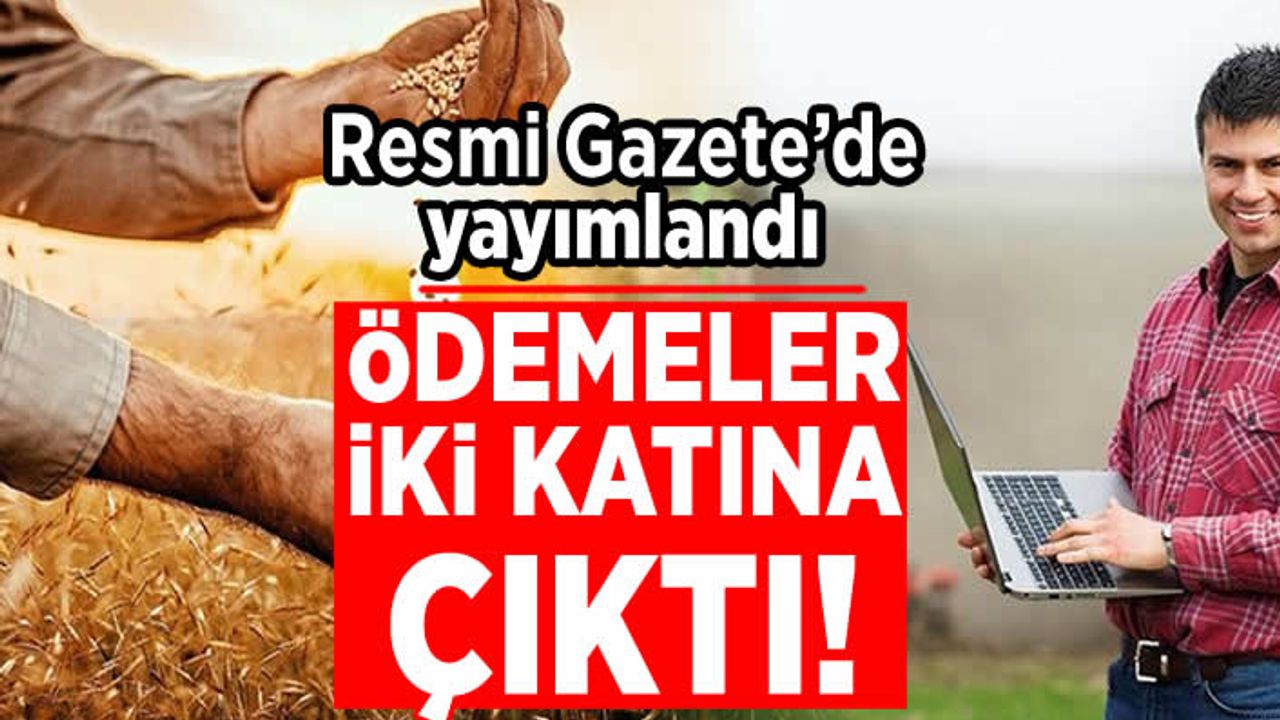 Resmi Gazete'de yayımlandı! Ödemeler iki katına çıktı!