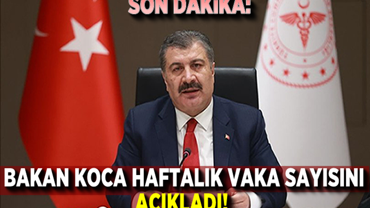 Bakan Koca haftalık vaka sayısını açıkladı! İllerde büyük gelişme!