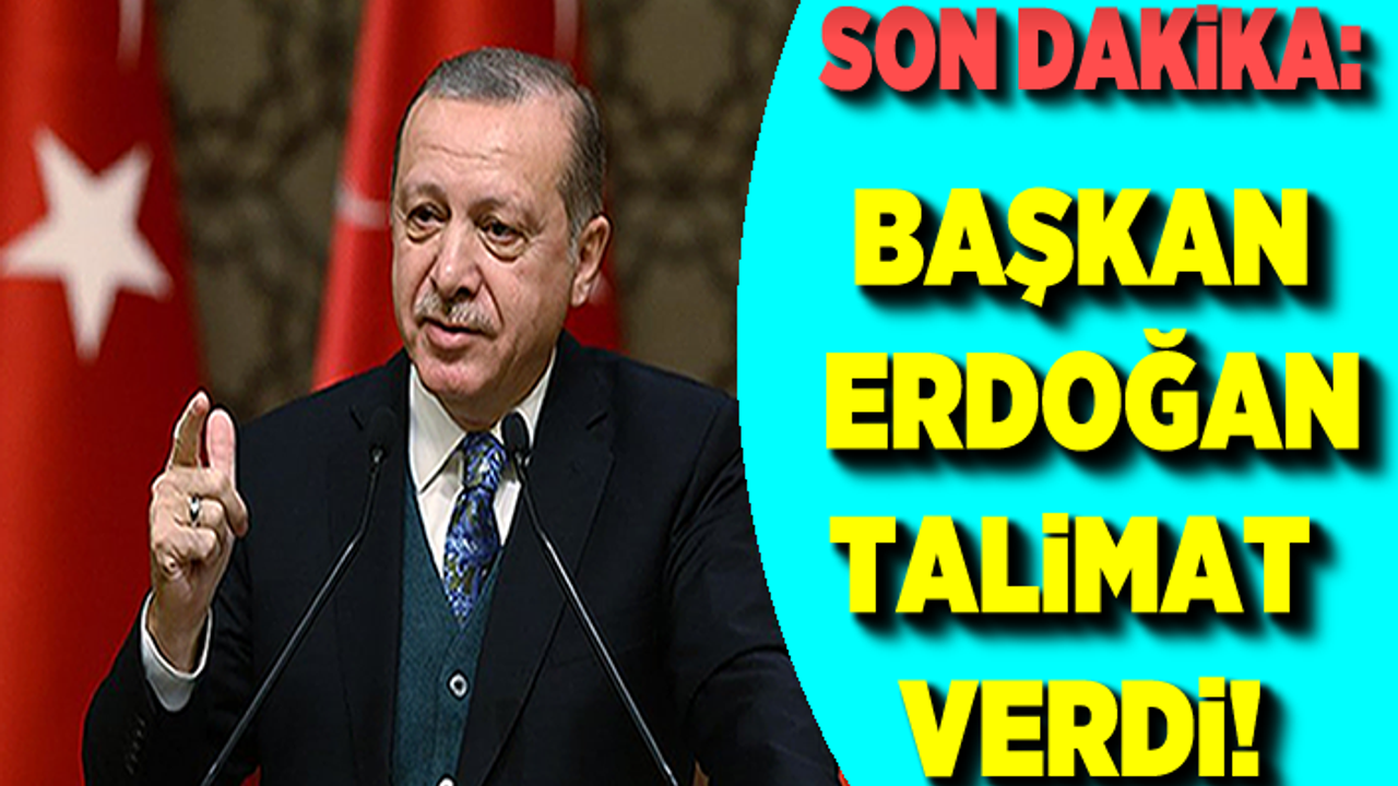 Başkan Erdoğan Hayvan Hakları Yasası talimat verdi!