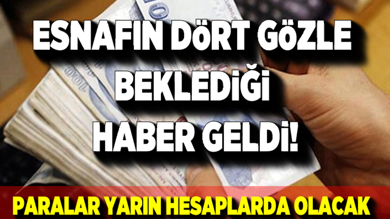 Son dakika! Esnafa yönelik hibe desteği ödemeleri yarın başlıyor