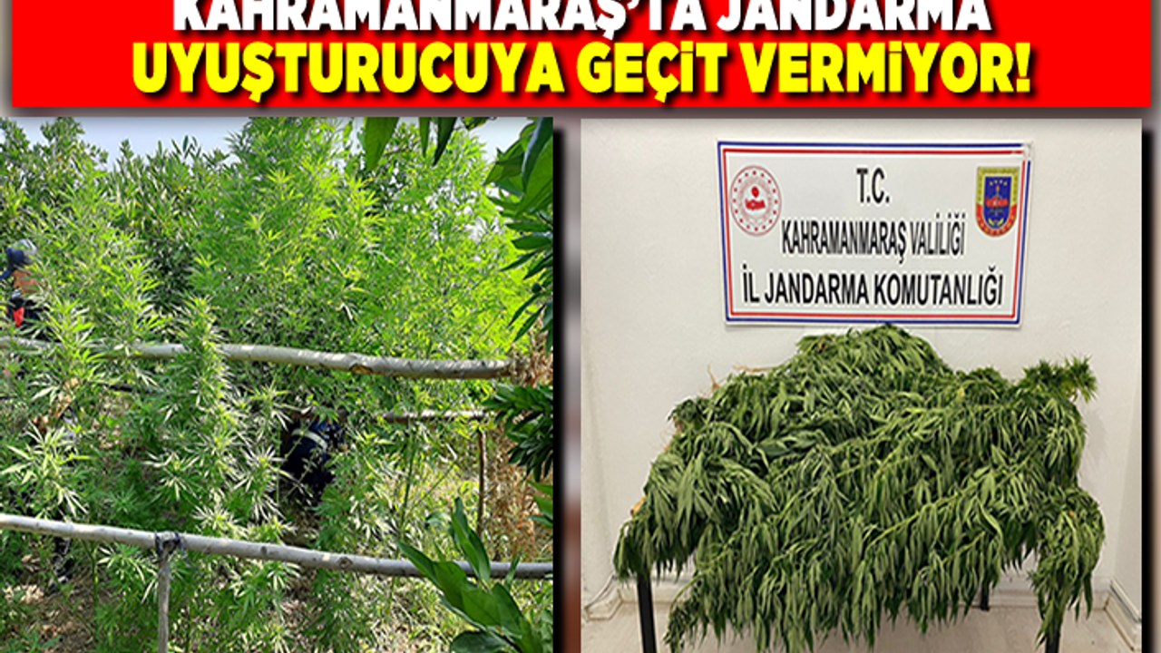 Pazarcık, Andırın, Çağlayancerit ilçelerinde uyuşturucu operasyonu