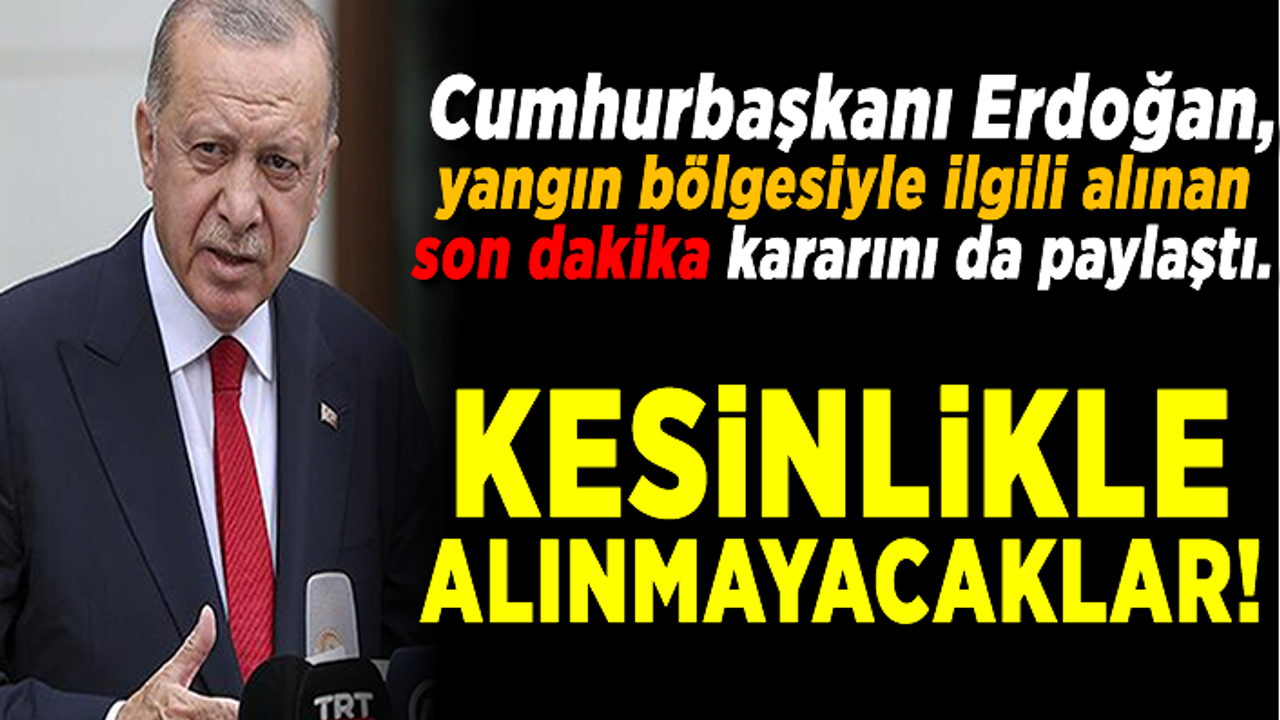 Cumhurbaşkanı Erdoğan, yangın bölgesiyle ilgili alınan kararı açıkladı
