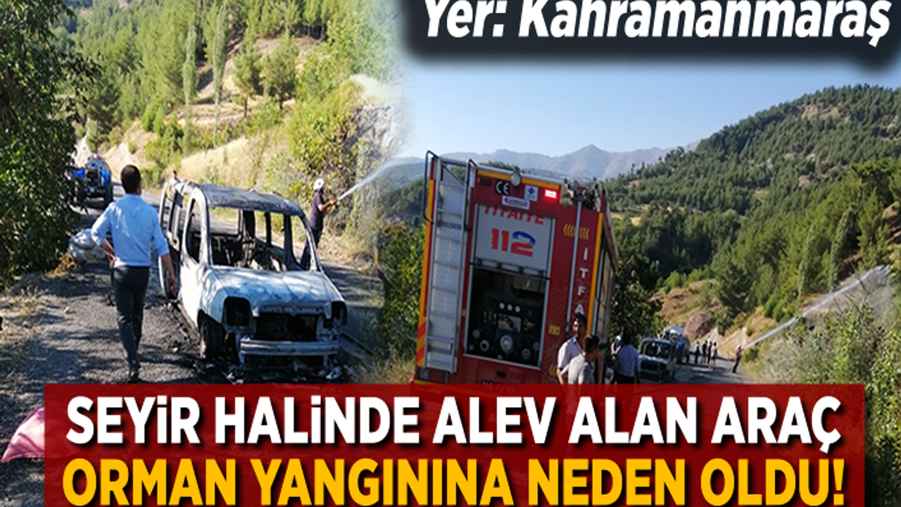 Kahramanmaraş'ta seyir halinde alev alan hafif ticari araç orman yangının çıkmasına neden oldu.
