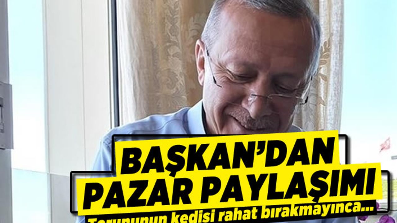 Başkan'dan pazar paylaşımı! Torununun kedisi rahat bırakmayınca...