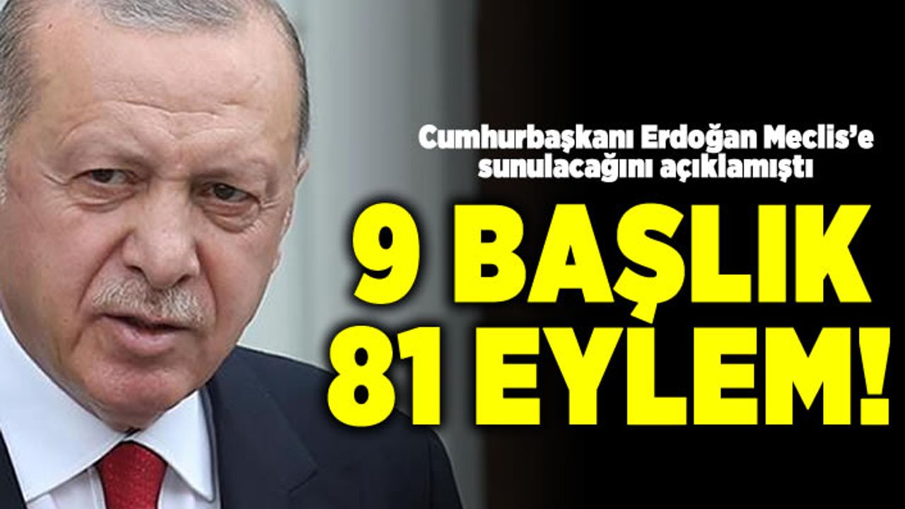 Cumhurbaşkanı Erdoğan Meclise sunulacağını açıklamıştı! 9 Başlık 81 Eylem
