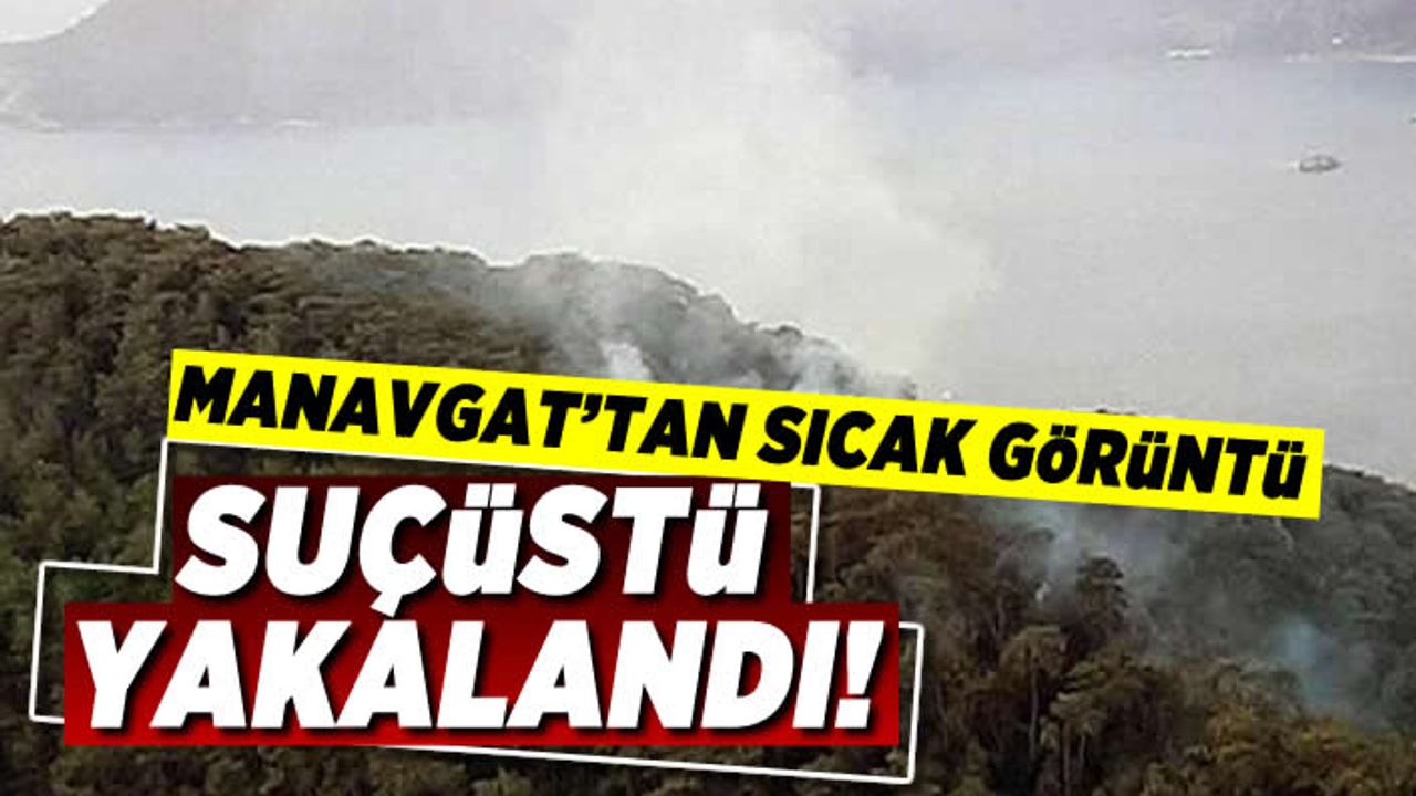 Manavgat'tan sıcak görüntü! Suçüstü yakalandı!
