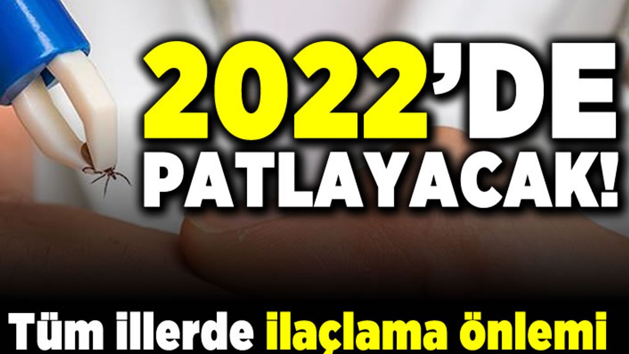 2022'de patlayacak! Tüm illerde ilaçlama önlemi!