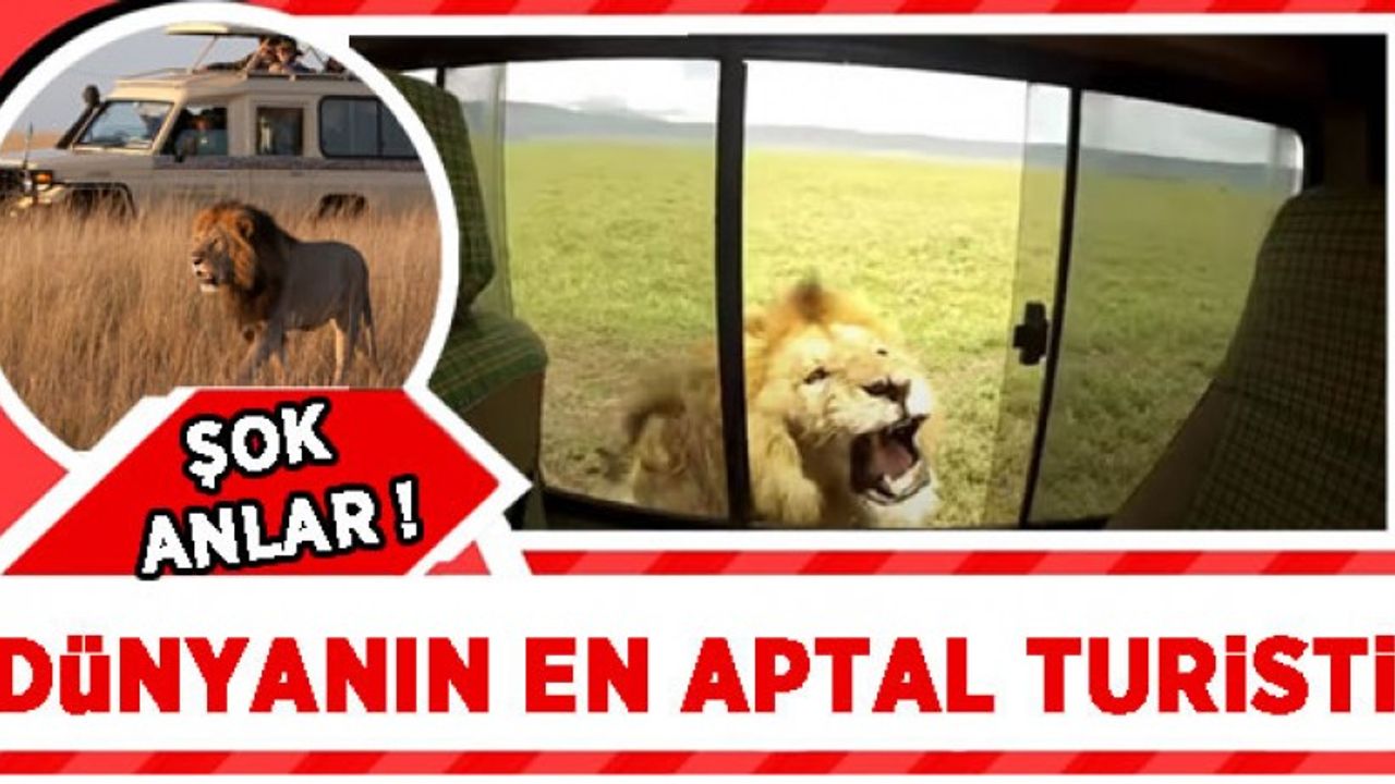 Alay konusu oldular... 'Dünyanın en aptal turisti'