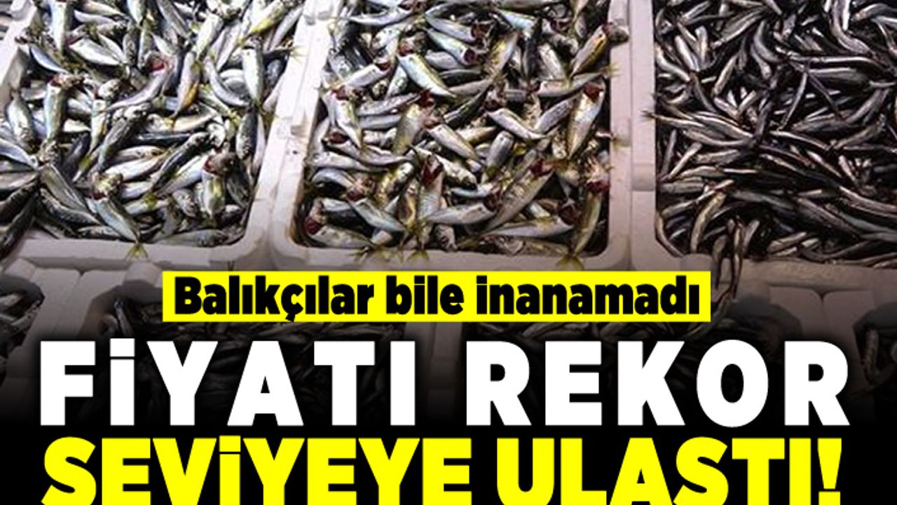 Balıkçılar bile inanamadı! Fiyatı rekor seviyeye ulaştı!