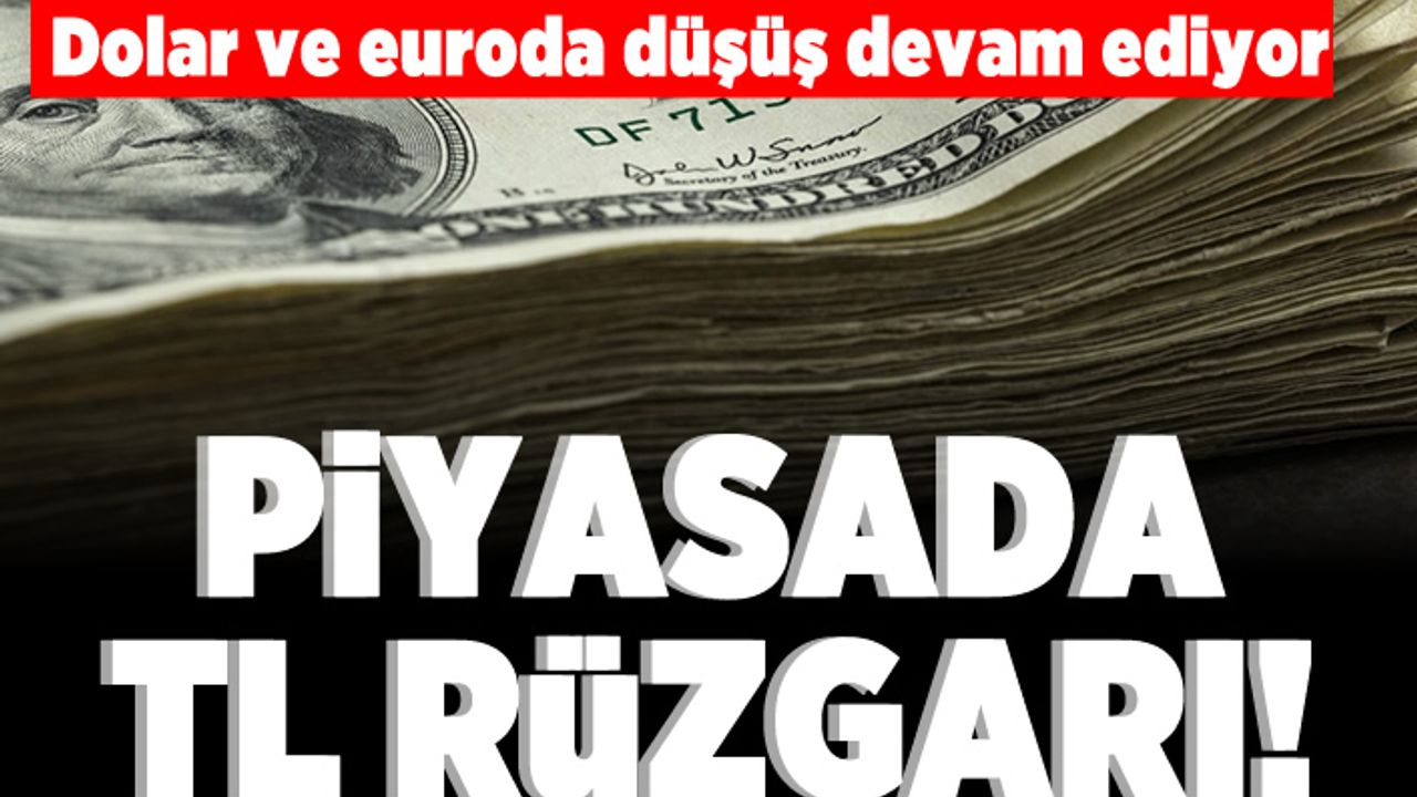 Dolar ve Euroda düşüş devam ediyor! Piyasada TL rüzgarı!