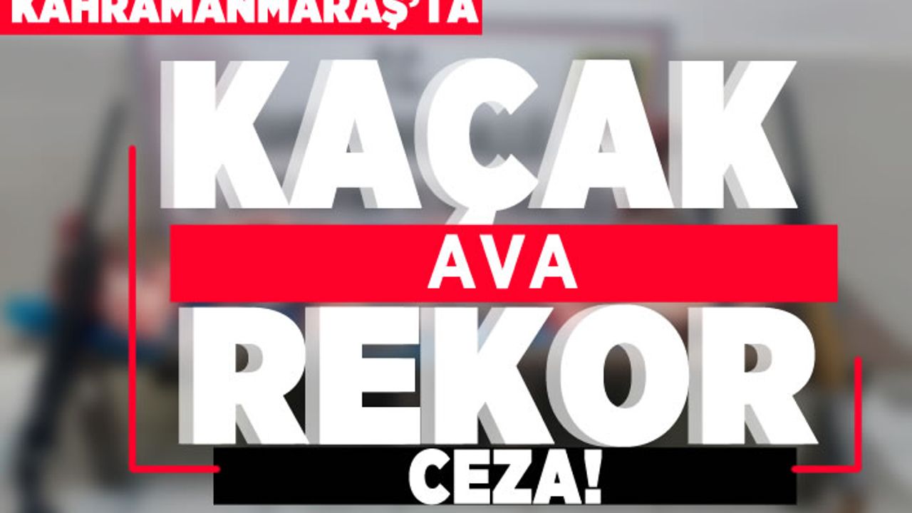 Kahramanmaraş'ta kaçak ava rekor ceza!