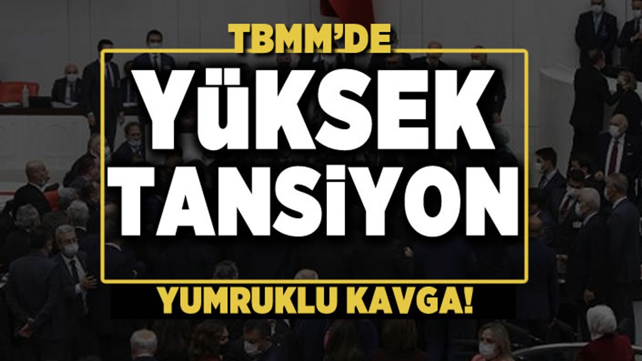 Mecliste yumruklu kavga