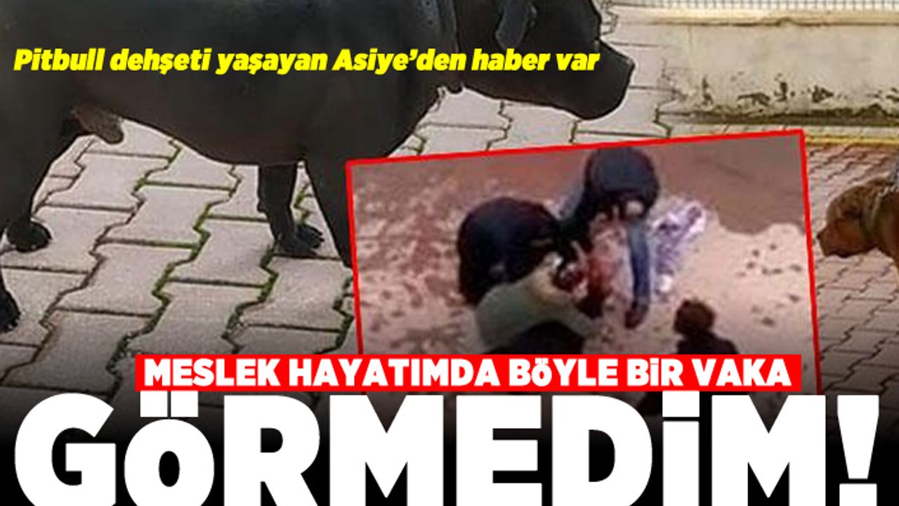 Meslek hayatımda böyle bir vaka görmedim! Pitbull dehşeti yaşayan Asiye'den haber var