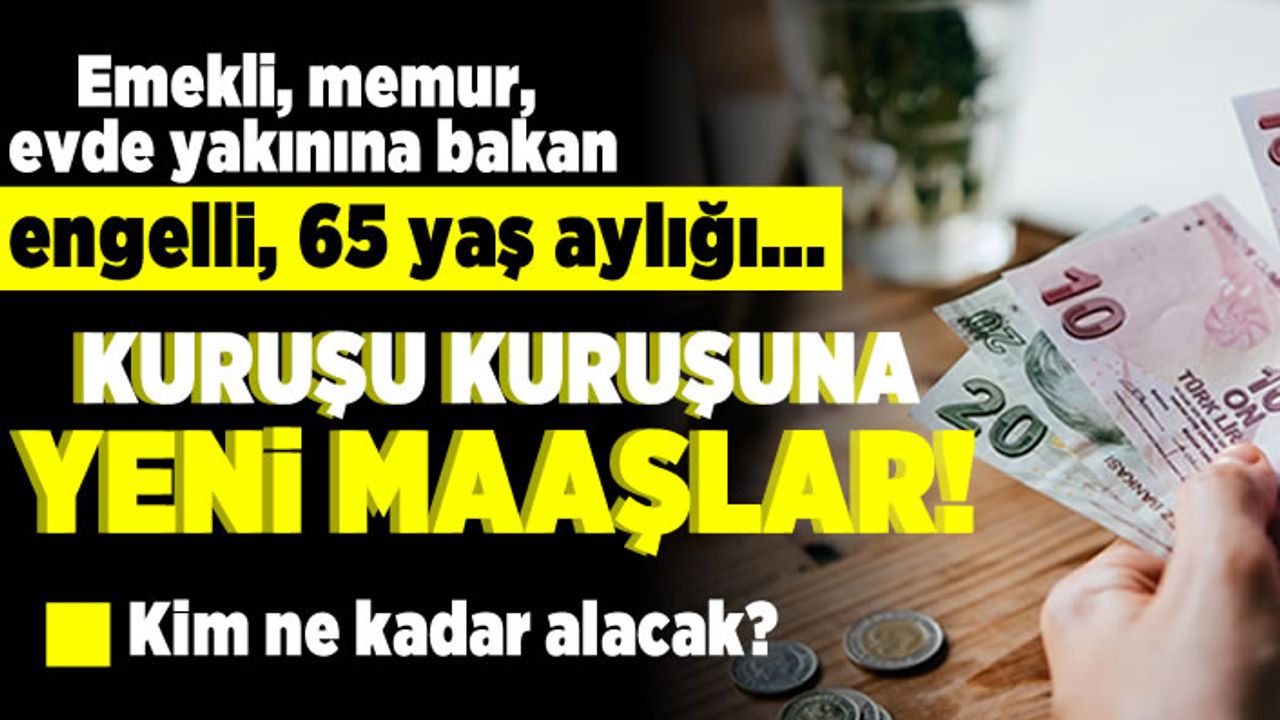 Emekli, memur; evde yakınına bakan, engelli, 65 yaş aylığı... Kuruşu kuruşuna yeni maaşlar!