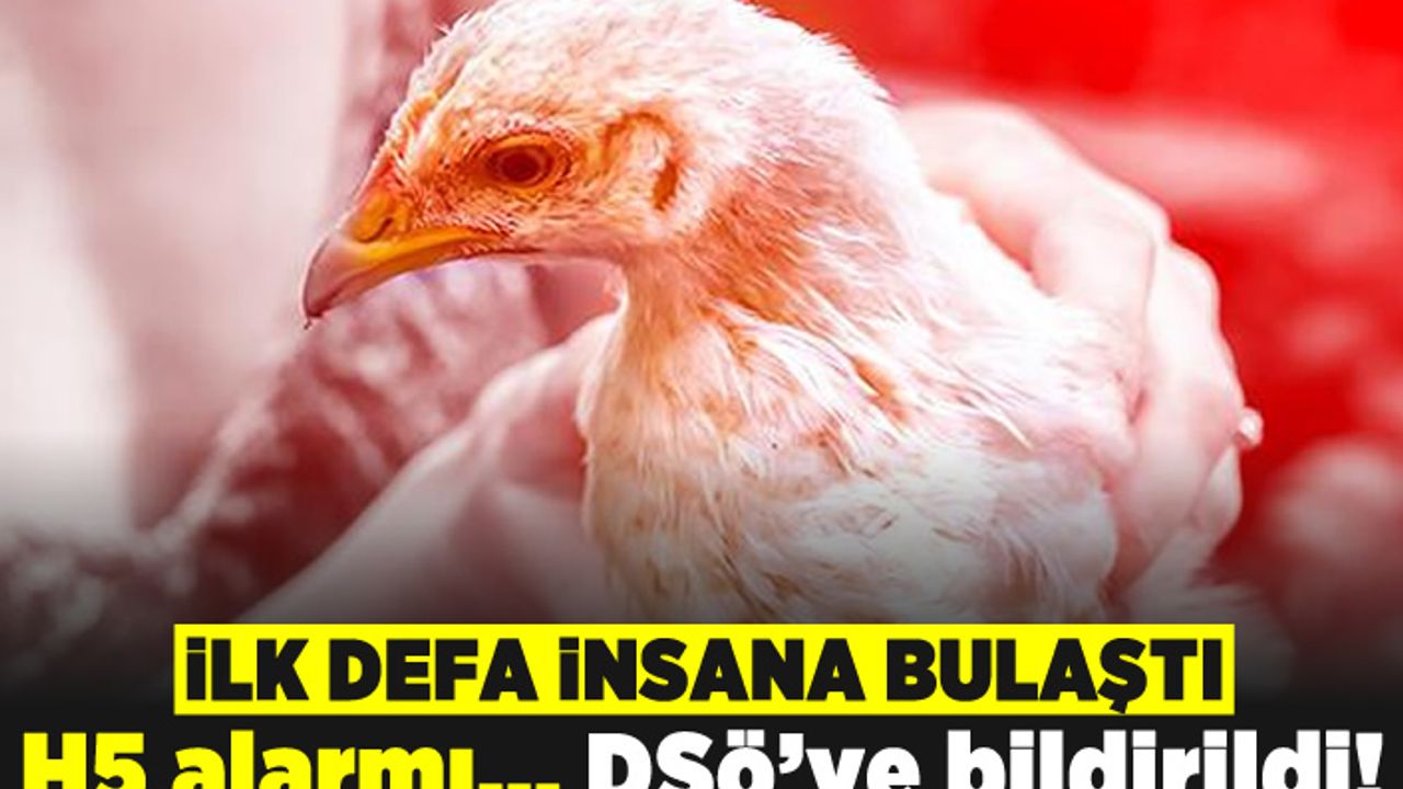 İlk defa insana bulaştı! H5 alarmı... DSÖ'ye bildirildi!