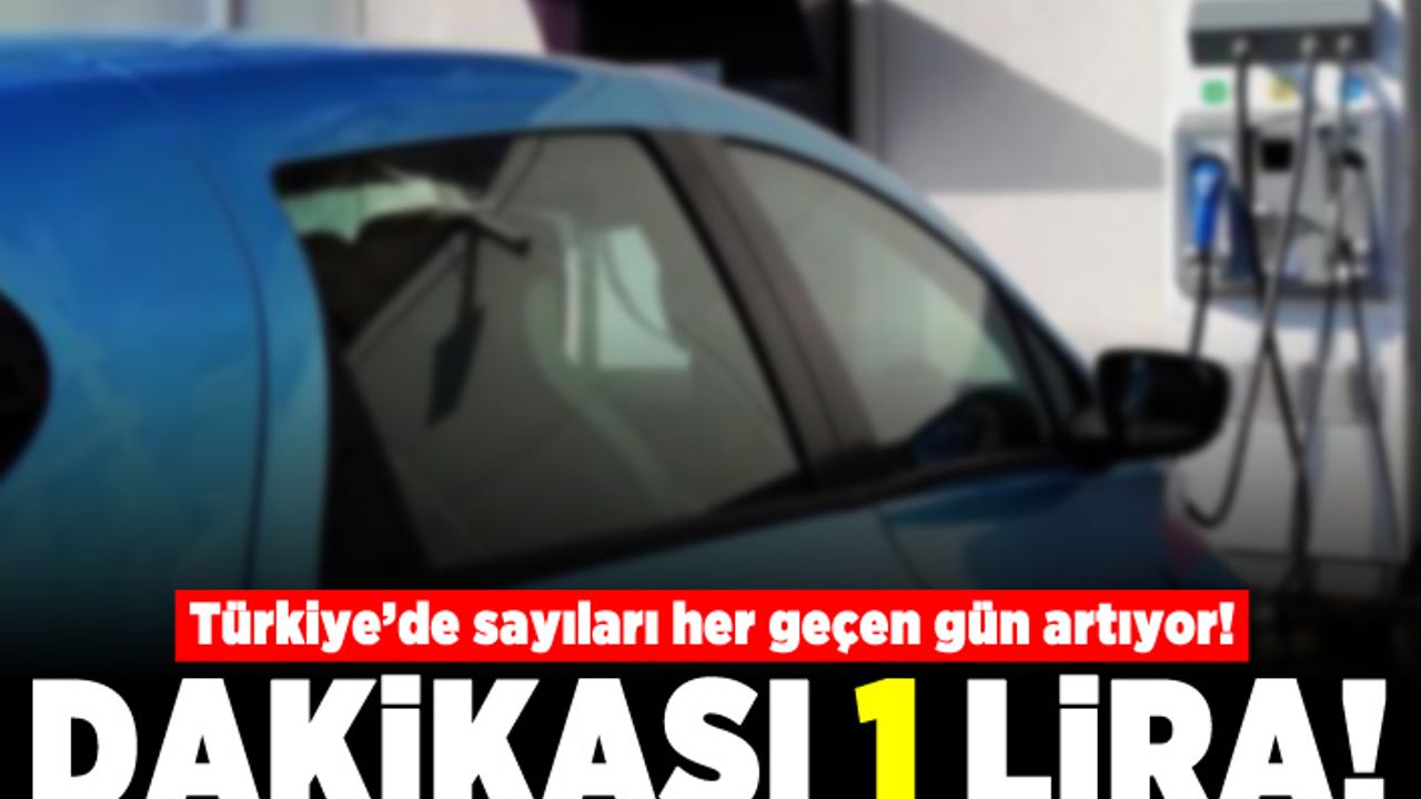 Türkiye'de her geçen gün sayıları artıyor! Dakikası 1 lira!