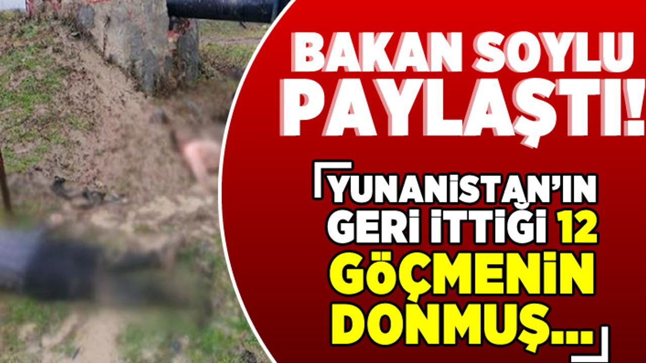 Bakan Soylu paylaştı! Yunanistan'ın geri ittiği 12 göçmenin donmuş...