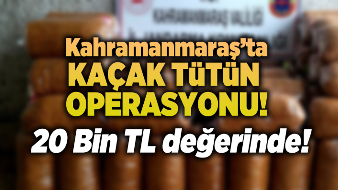 Kahramanmaraş'ta kaçak tütün operasyonu!