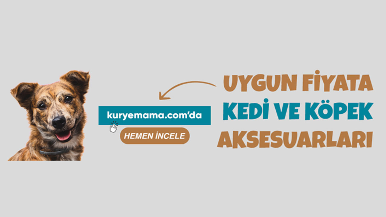 Köpek Tıraş Makinası İle Kedi Eldiveni Ve Biberonu Kuryemama.Com Da İndirimli Fiyatlar