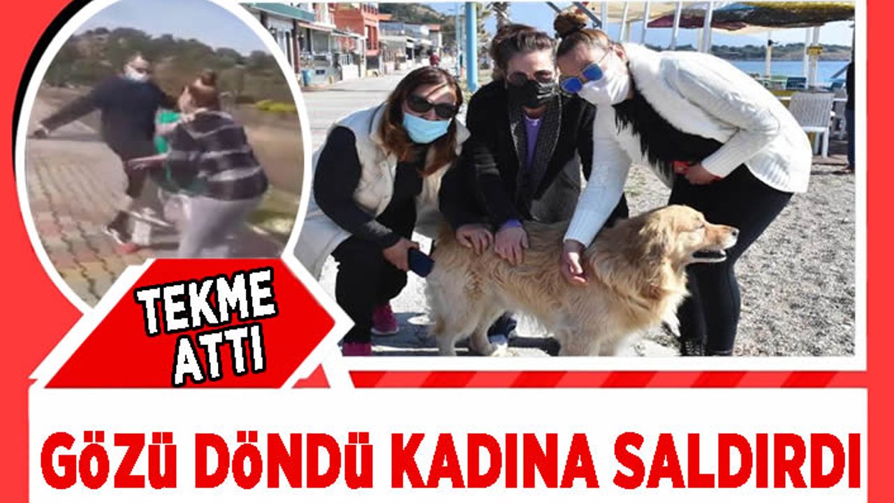 Köpekleri taşladığını görünce uyardılar! Gözü dönmüş adam, köpekleri bırakıp onlara saldırdı