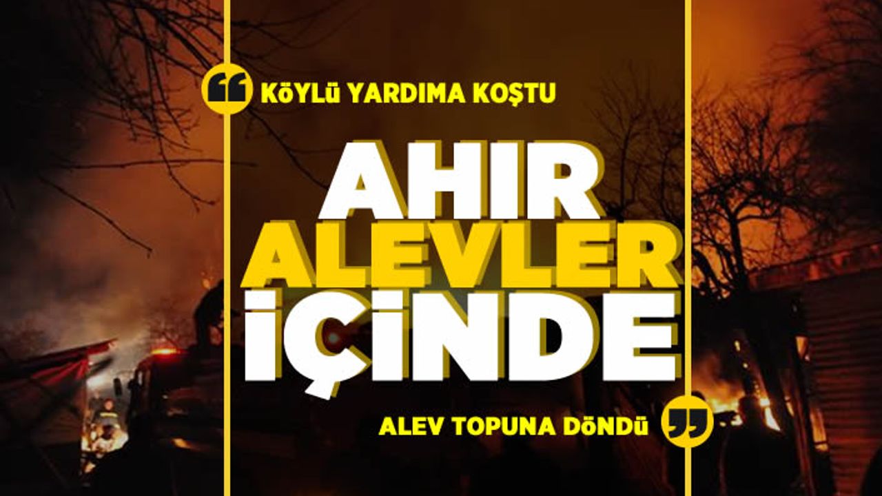 Ahır alev topuna döndü: Büyükbaş hayvanların yardımına köylüler koştu