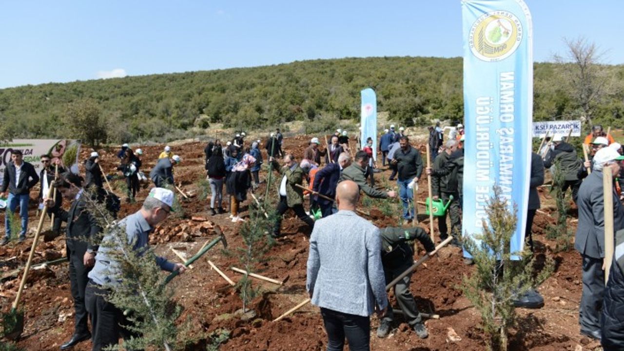 Üniversitemizin 30. Yılında 30 Bin Fidanı Toprakla Buluşturuyoruz