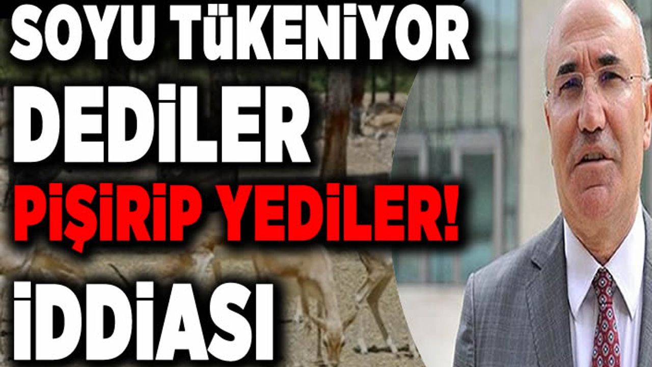 Soyları tükenme riski altındaki ceylanları kesip, bürokratlara ikram ettiler