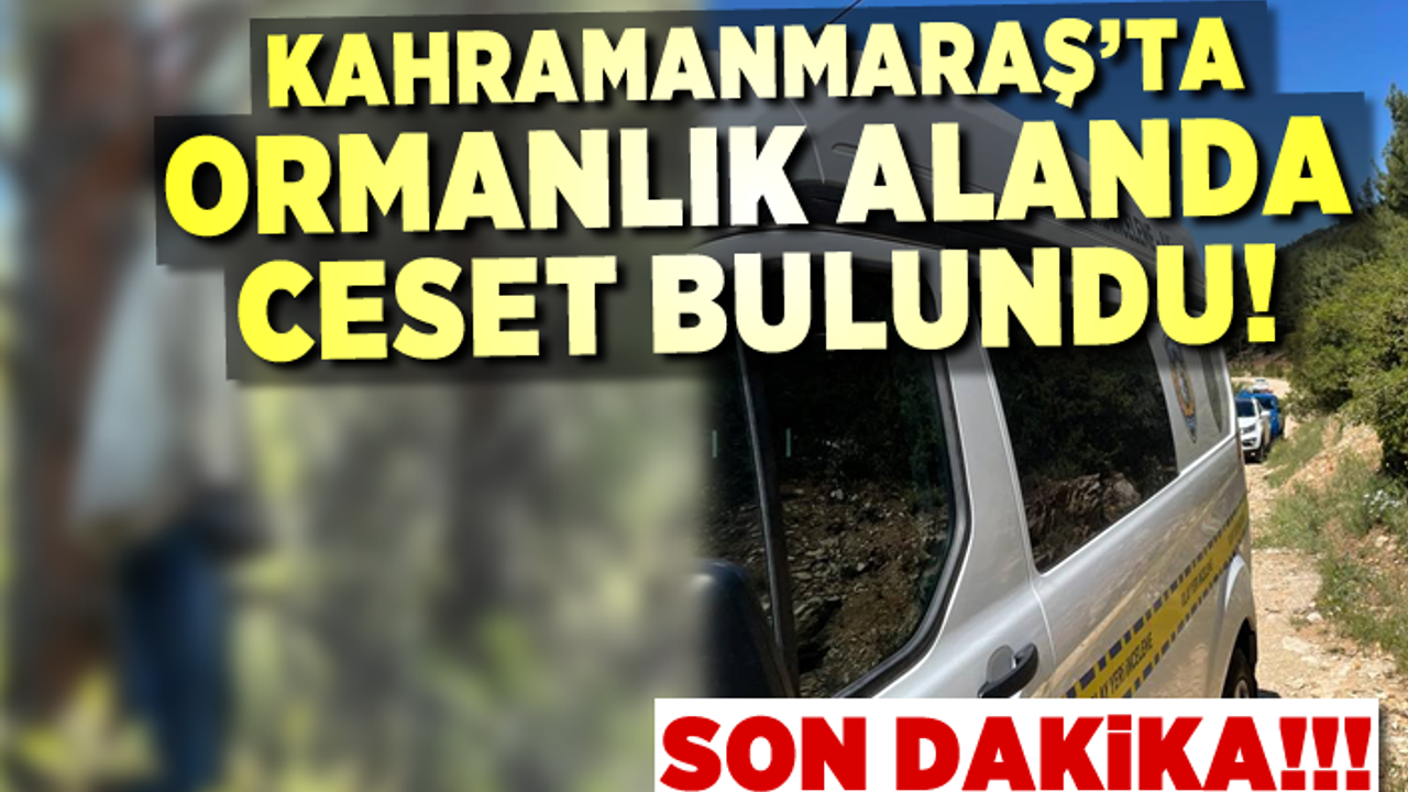 Kahramanmaraş’ta ormanlık alanda ağaca asılı bir erkek cesedi bulundu.