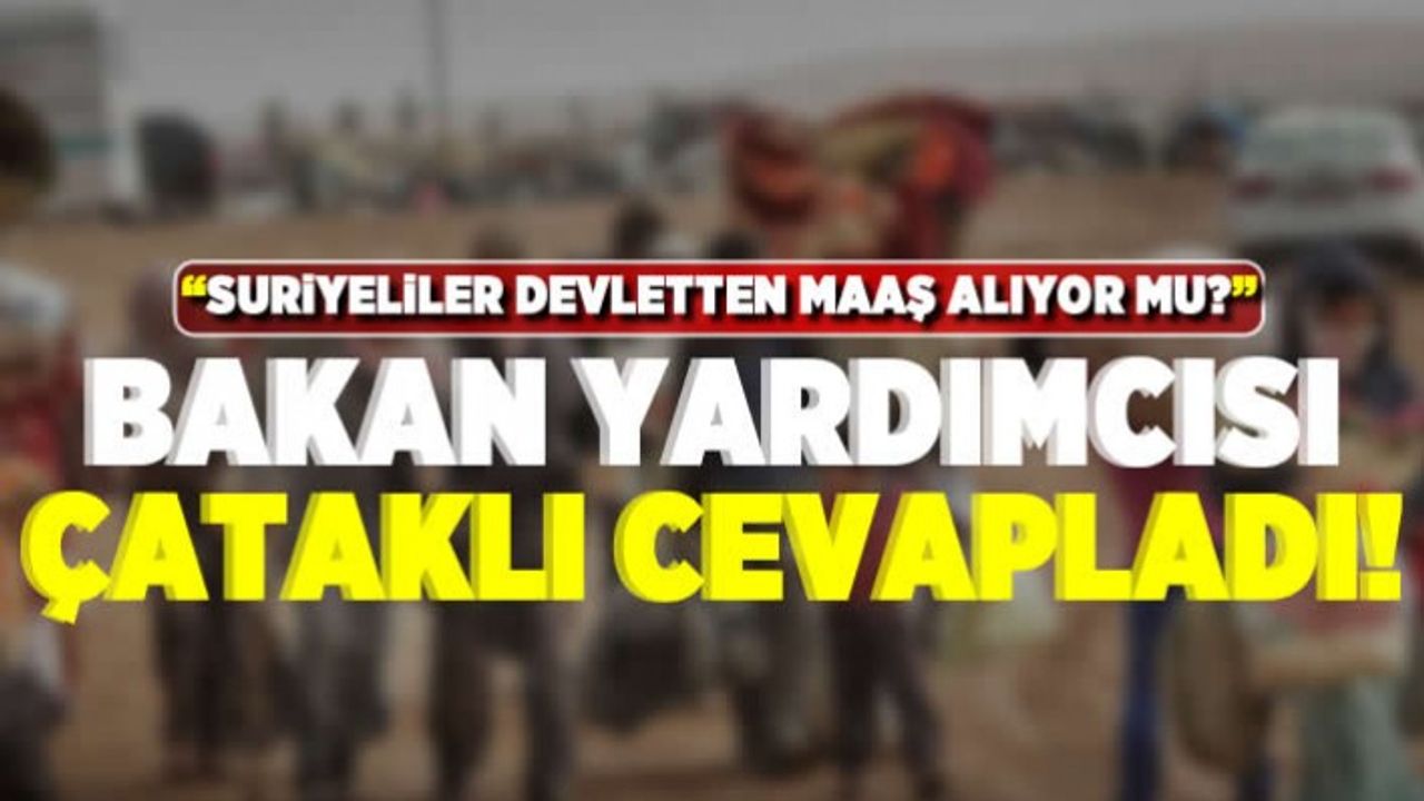 "Suriyeliler devletten maaş alıyor mu? Bakan Yardımcısı Çataklı cevapladı!