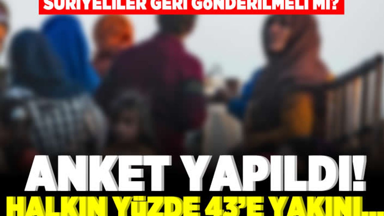Suriyeliler geri gönderilmeli mi? Anket yapıldı! Halkın yüzde 43'e yakını...