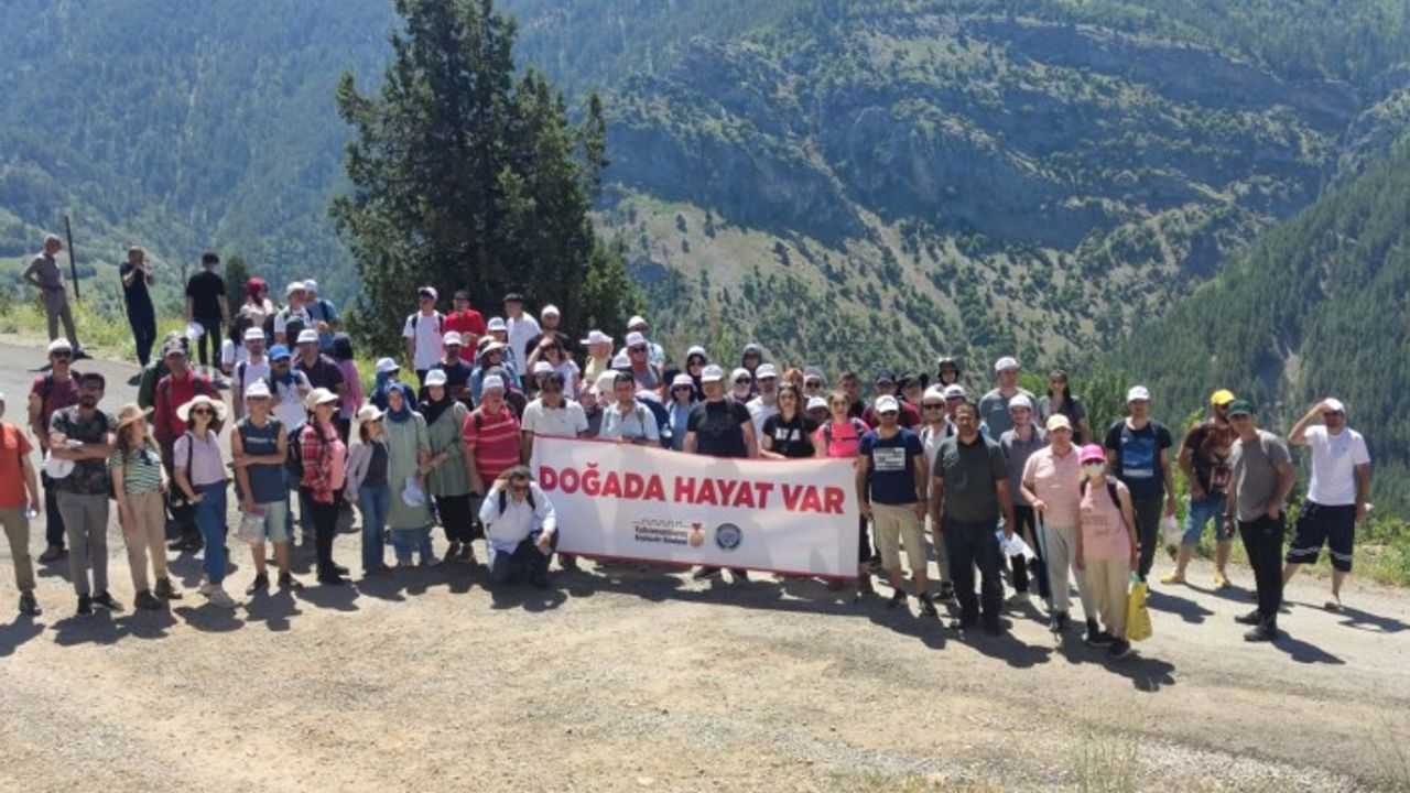 Kocabor Şelalesi Doğaseverleri Hayran Bıraktı