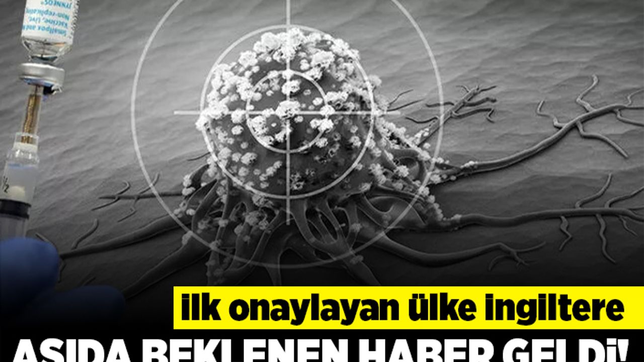 İlk onaylayan ülke İngiltere!  Aşıda beklenen haber geldi!