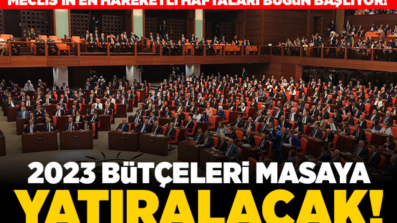 Meclis'in en hareketli haftaları bugün başlıyor! 2023 bütçeleri masaya yatırılacak!