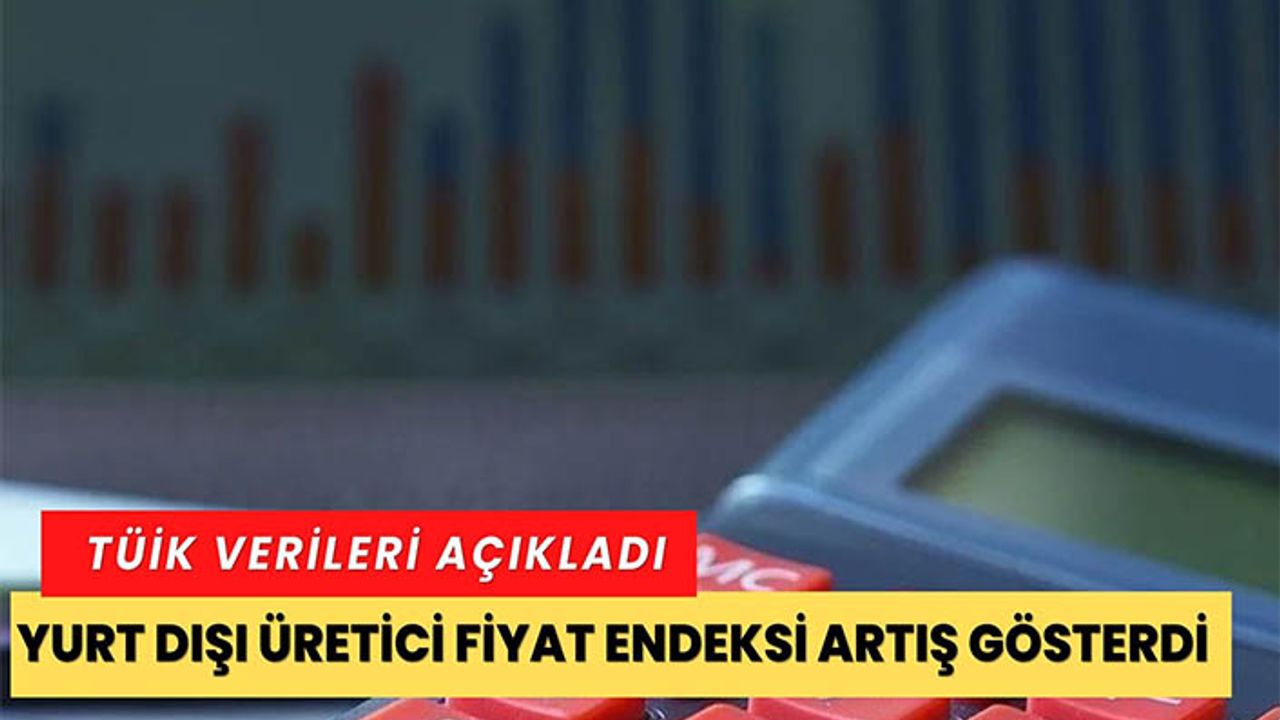 Yurt dışı üretici fiyat endeksi artış gösterdi