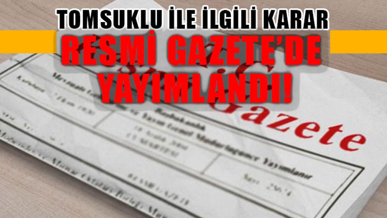 Kahramanmaraş'taki Tomsuklu bölgesi sanayi alanı ilan edildi