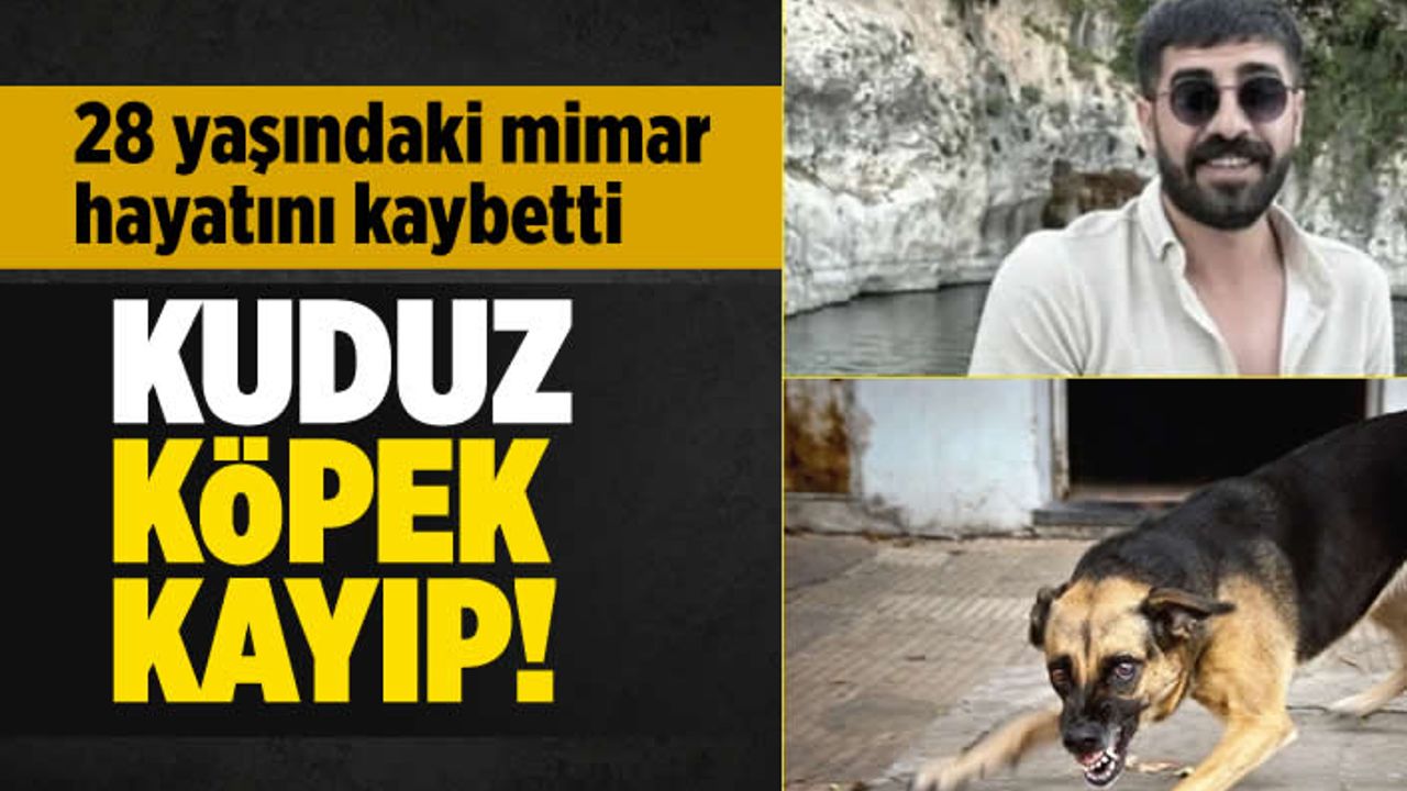 Şanlıurfa'da kuduz köpek saldırısı: Genç mimar hayatını kaybetti