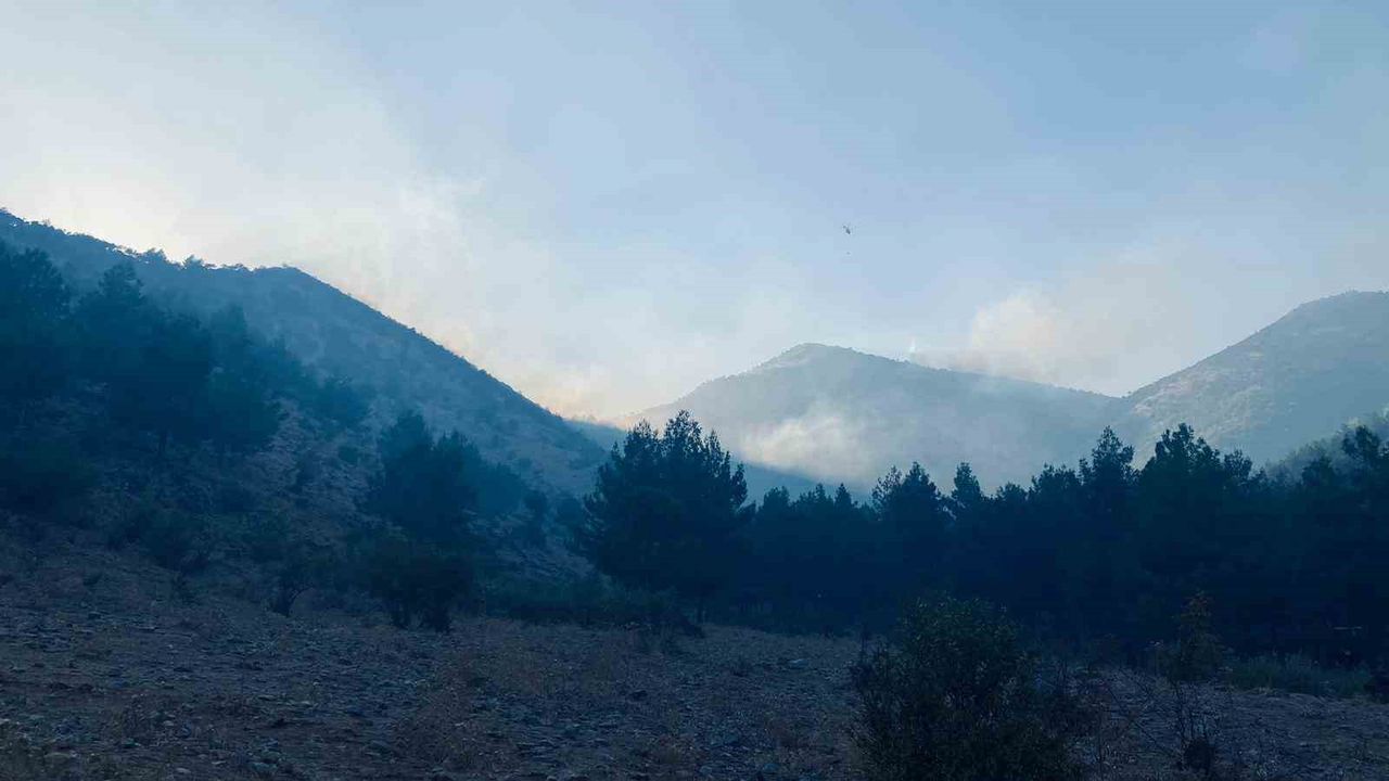 Kahramanmaraş Türkoğlu'nda orman yangını! 17 saat sonra güzel haber!