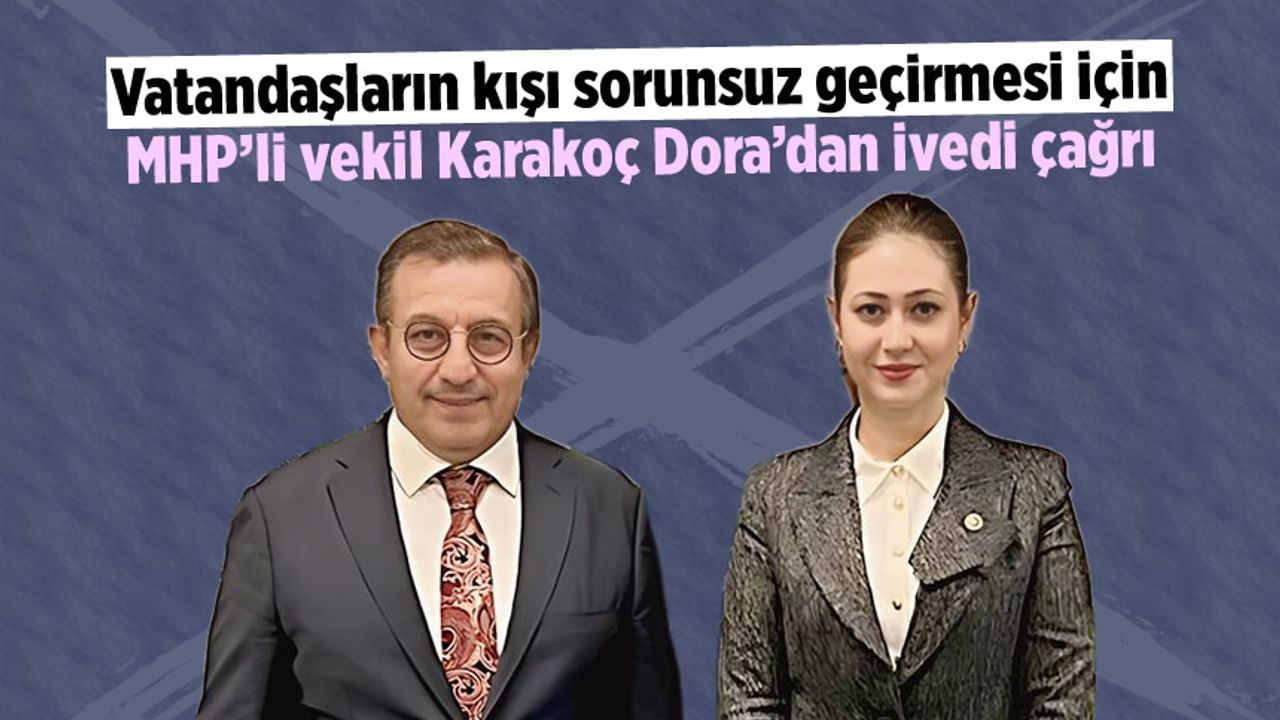 Vatandaşların kışı sorunsuz geçirmesi için MHP'li vekil Karakoç Dora'dan ivedi çağrı