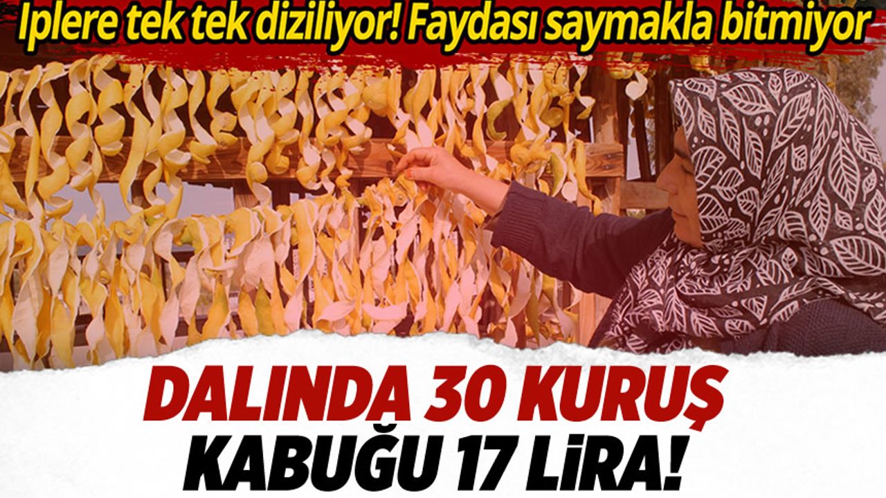 Limon fiyatları dip yaptı: Tek tek iplere diziliyor, kabuklar 17 lira!