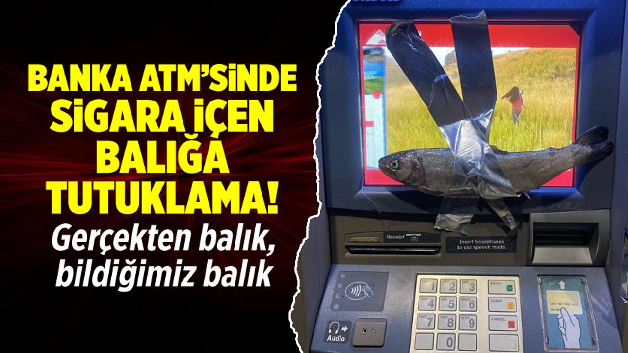 Sigara içen balık tutuklandı: Banka ATM'sindeki garip olayın perde arkası!