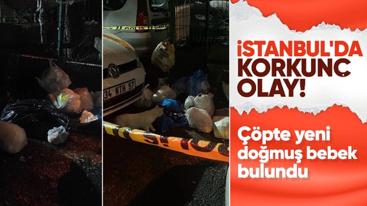 İstanbul'da çöp poşetlerinin arasında yeni doğmuş bebek bulundu