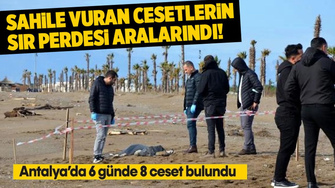 Ceset sayısı artıyor: Antalya sahillerindeki gizemli olay sürüyor!